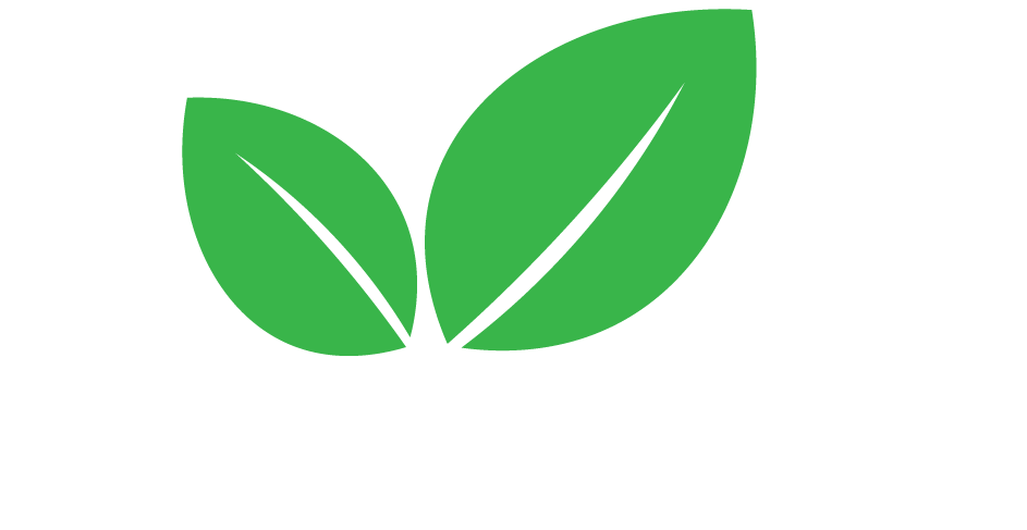 My Skin Store